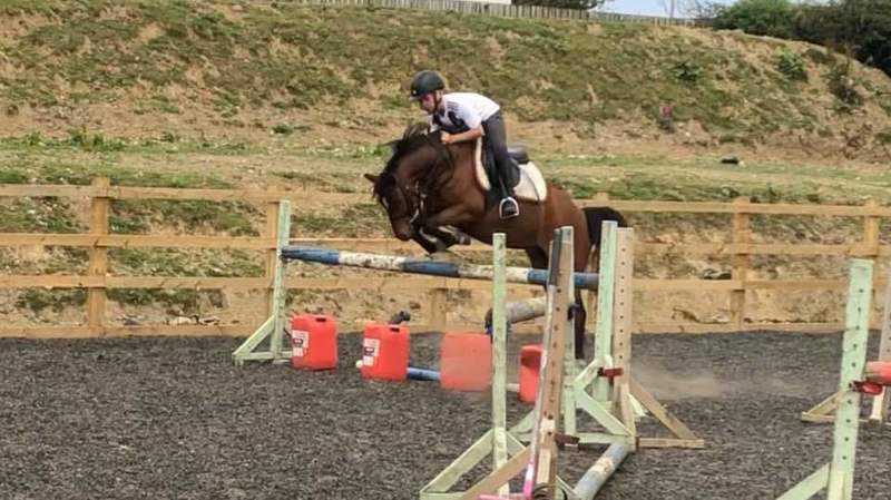 ON TRIAL              SOLD SOLD SOLD  Under 10’s / Stepping Stones Pony 