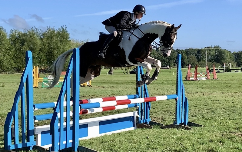 Stinning coloured Sligo Candy Boy 5YO Gelding For Sale in Lincolnshire