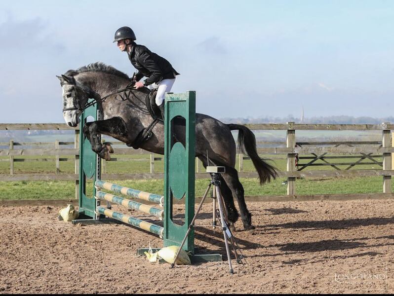A quality well bred connemara pony ideal for eventing or showing