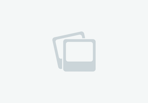 Unique horseboxes 2021 new build Duo with full bulkhead on 2013 Vauxhall movano £26995 inc VAT