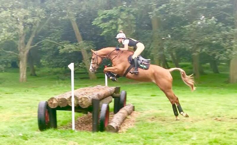 Safe and Reliable BE100/Novice eventer
