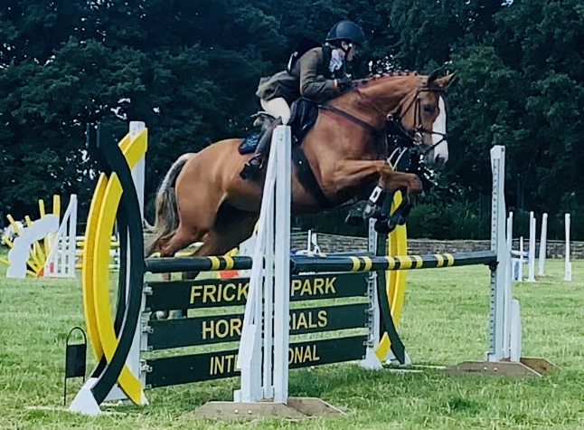 Safe and Reliable BE100/Novice eventer