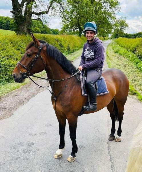 black horses for sale uk