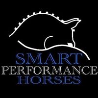 Smart Performance Horses